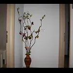 Boutique Ostello Sarandë