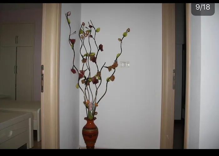 Boutique Hostel Sarande